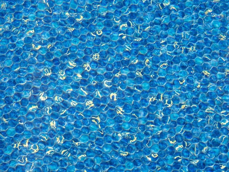 Cobalt Gallery 8