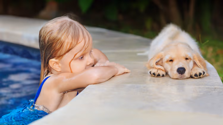 Protecting Your Pets Around the Pool
